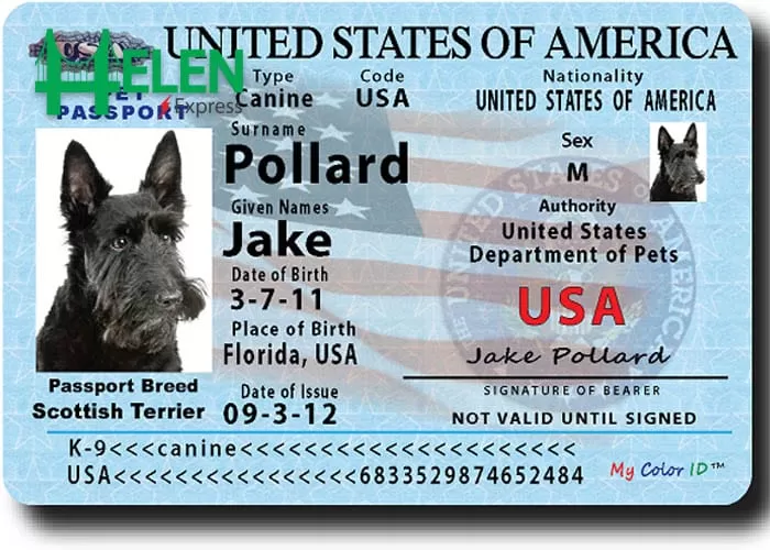 Pet Passport là gì?