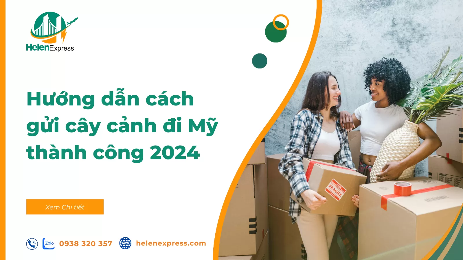 Hướng dẫn cách gửi cây cảnh đi Mỹ thành công 2024