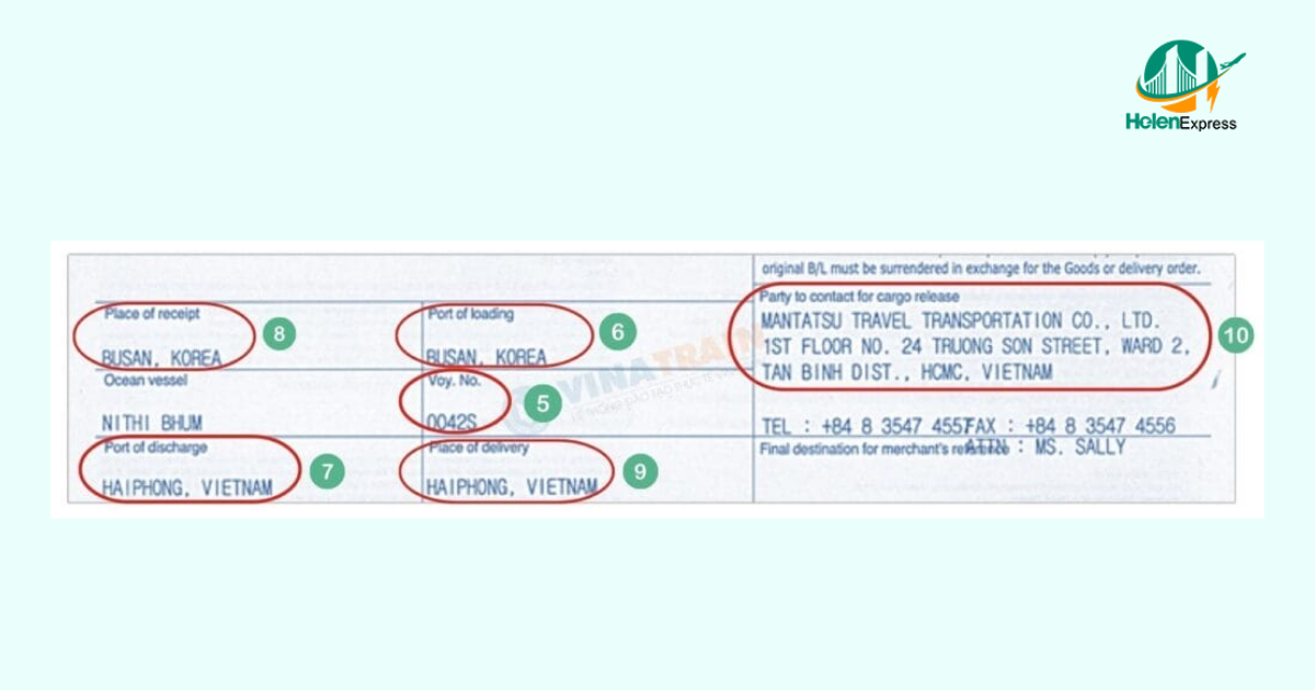 cach-doc-van-don-bill-of-lading-250304111940