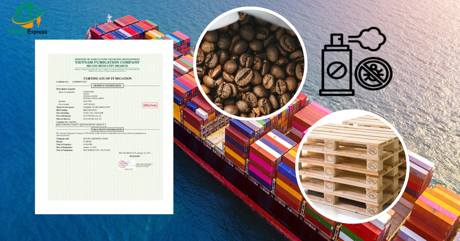 giay-chung-nhan-hun-trung-fumigation-certificate-la-gi-thu-tuc-xin-cap-moi-nhat-250511051407