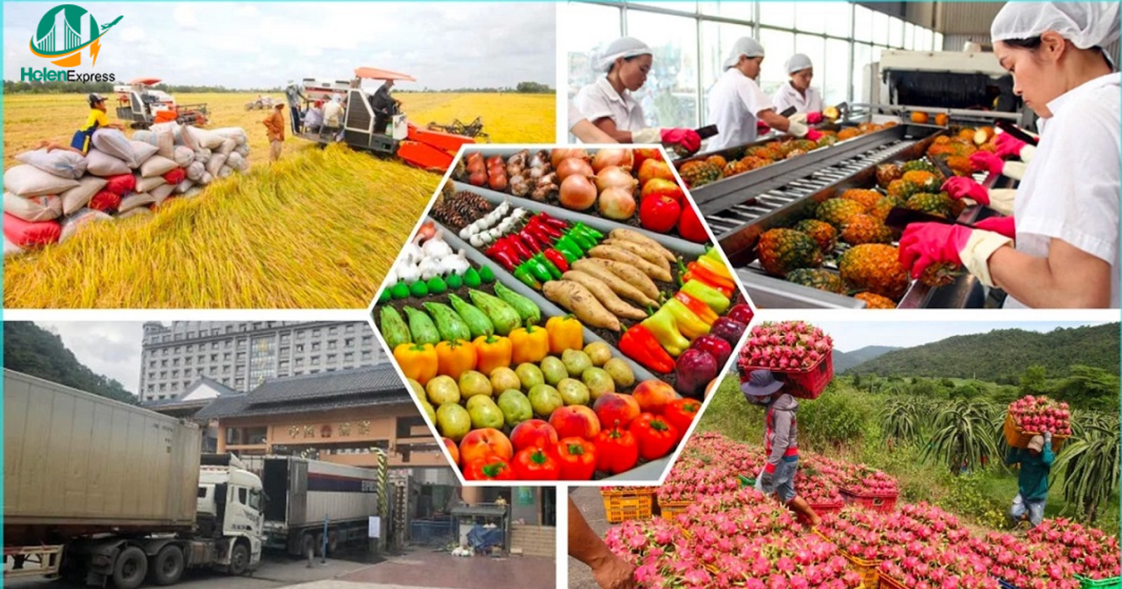 giay-kiem-dich-thuc-vat-la-gi-thu-tuc-va-mau-giay-theo-quy-dinh-250508030012