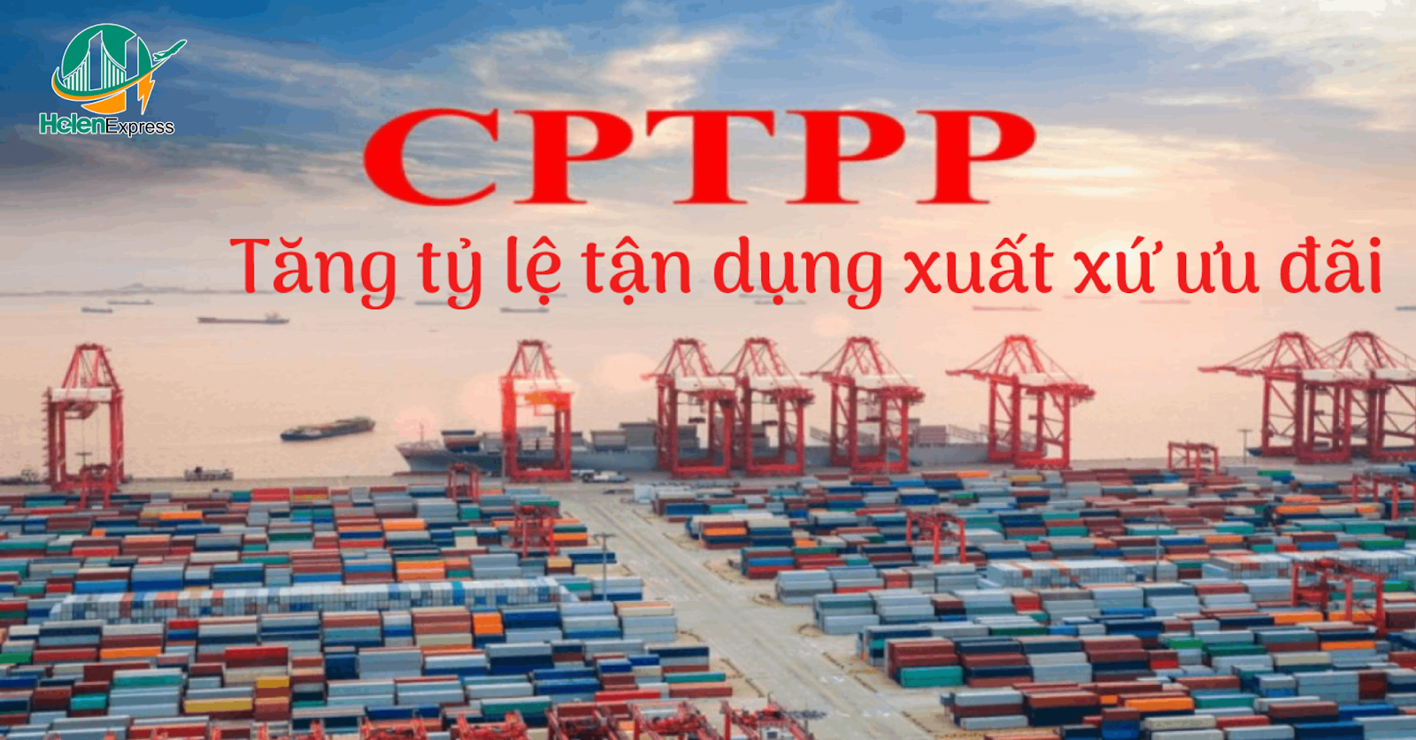 co-form-cptpp-la-gi-mau-form-cptpp-chuan-va-thu-tuc-moi-nhat-250617033941