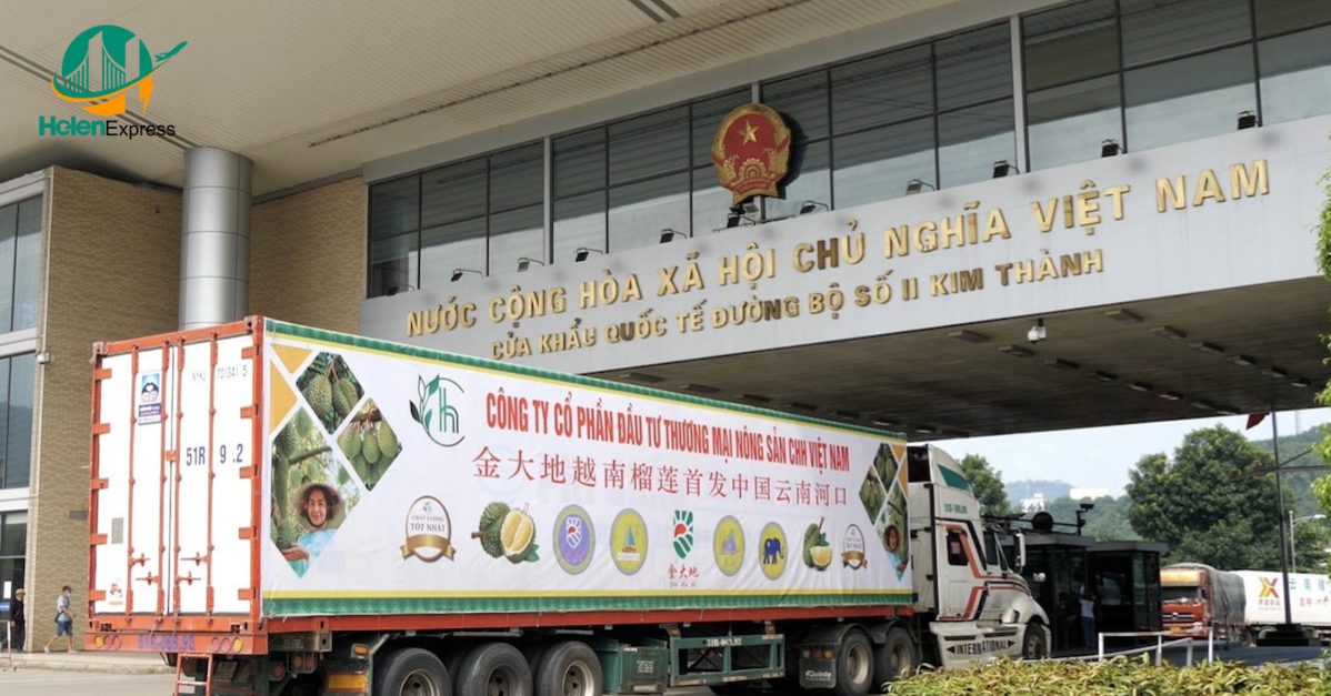 co-form-e-la-gi-cach-khai-mau-form-va-thu-tuc-chi-tiet-250606094614