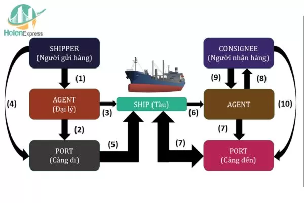 Chi Tiết Dịch Vụ Vận Chuyển Hàng Hóa Quốc Tế Bằng Đường Biển