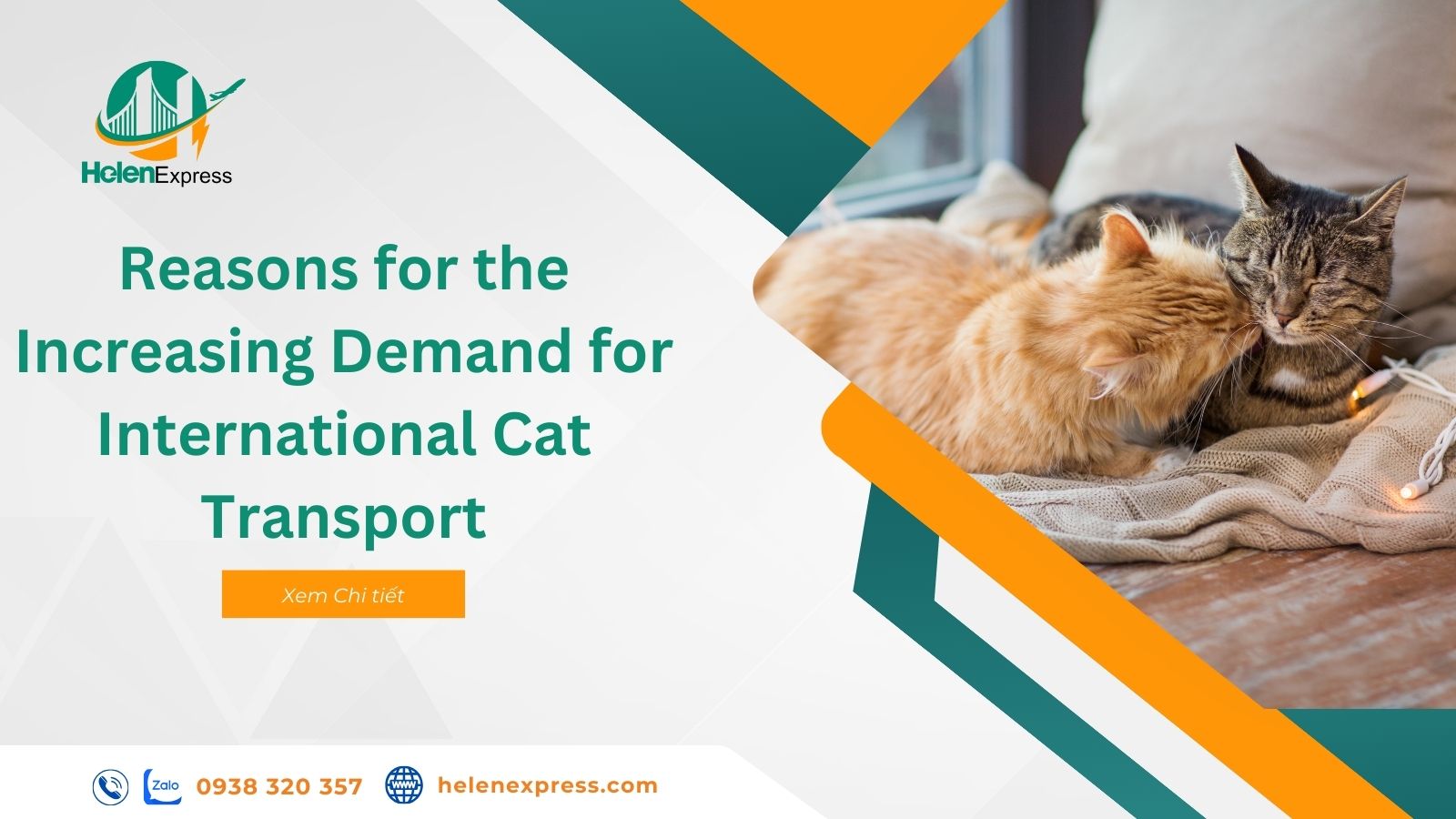 details-of-international-cat-relocation-service-in-2024-240708114028