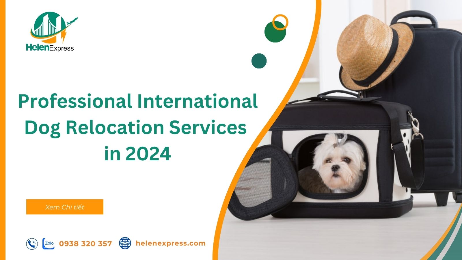 professional-international-dog-relocation-services-in-2024-240708084203