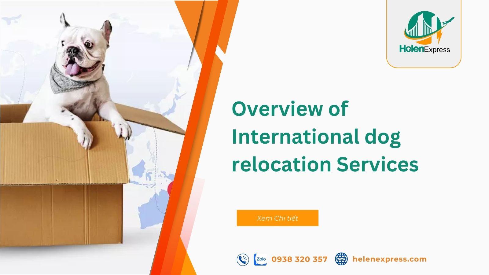 professional-international-dog-relocation-services-in-2024-240708084205