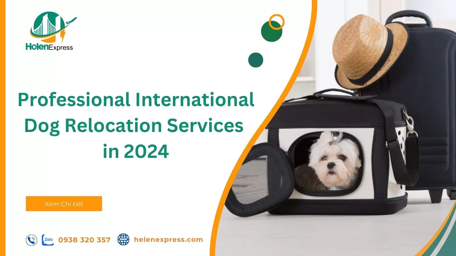 Professional International Dog Relocation Services in 2024