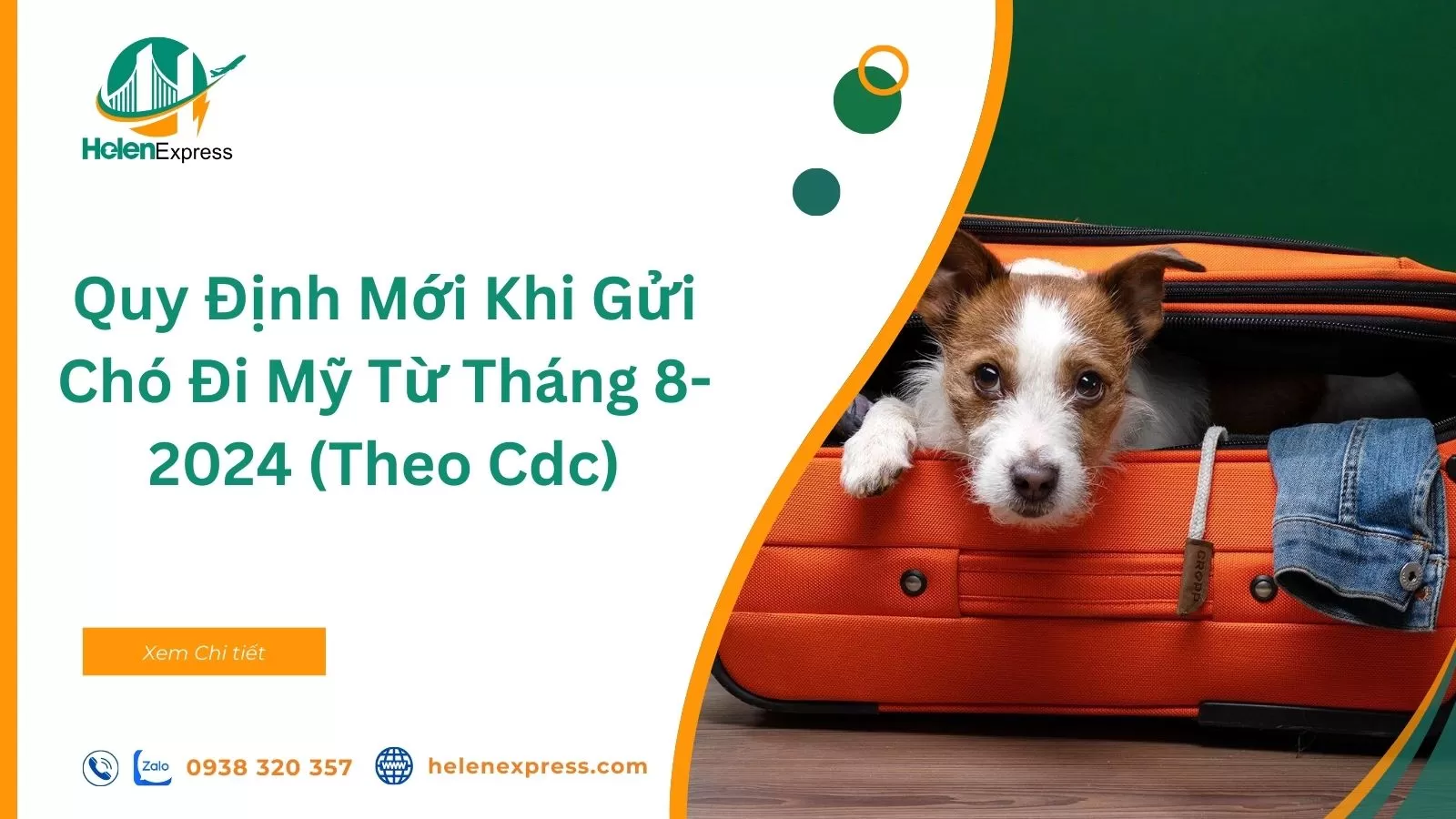 Quy Định Mới Khi Gửi Chó Đi Mỹ Từ Tháng 8-2024 (Theo Cdc)