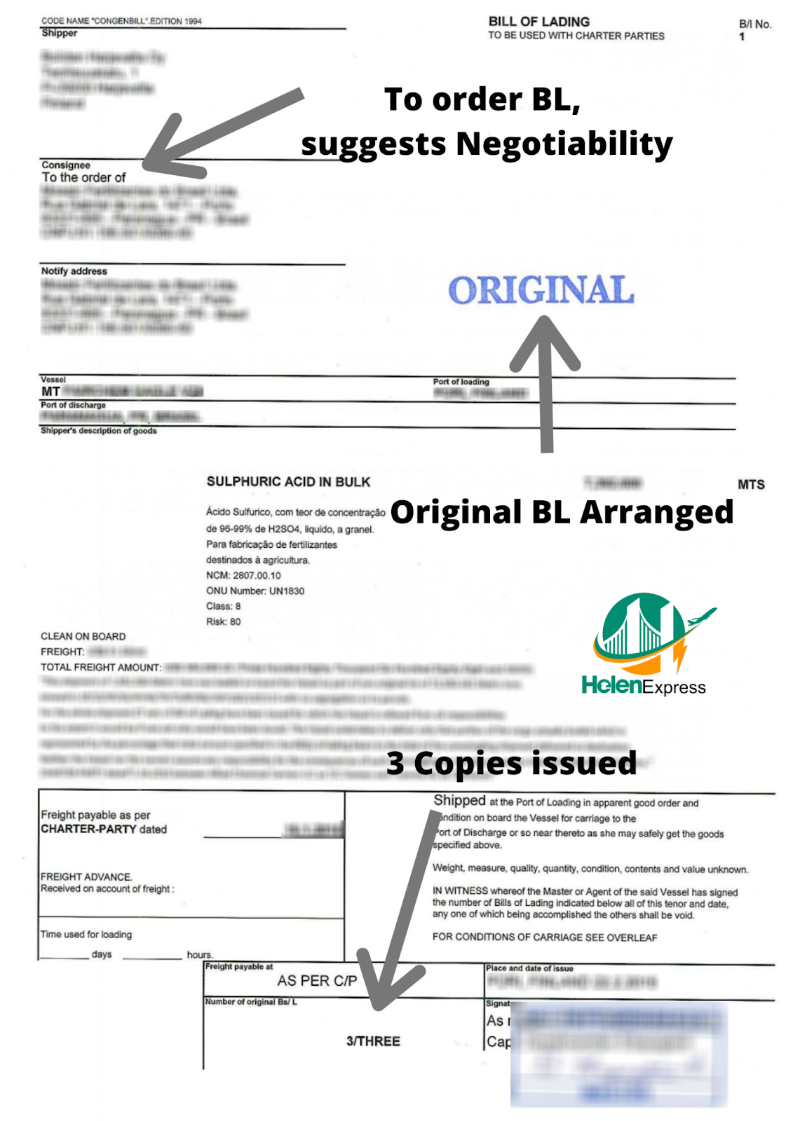 van-don-theo-lenh-to-order-bill-of-lading-bl-la-gi-phan-biet-voi-van-don-dich-danh-va-vo-danh-250727115919