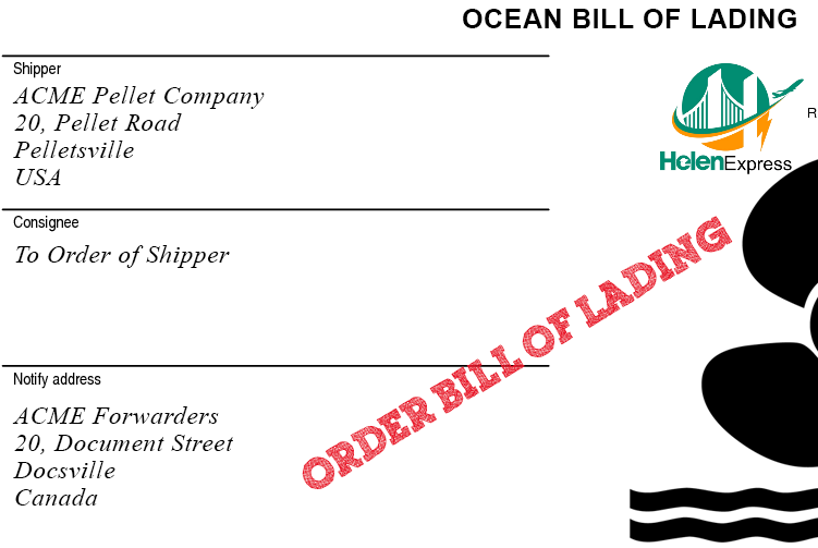 van-don-theo-lenh-to-order-bill-of-lading-bl-la-gi-phan-biet-voi-van-don-dich-danh-va-vo-danh-250727115921