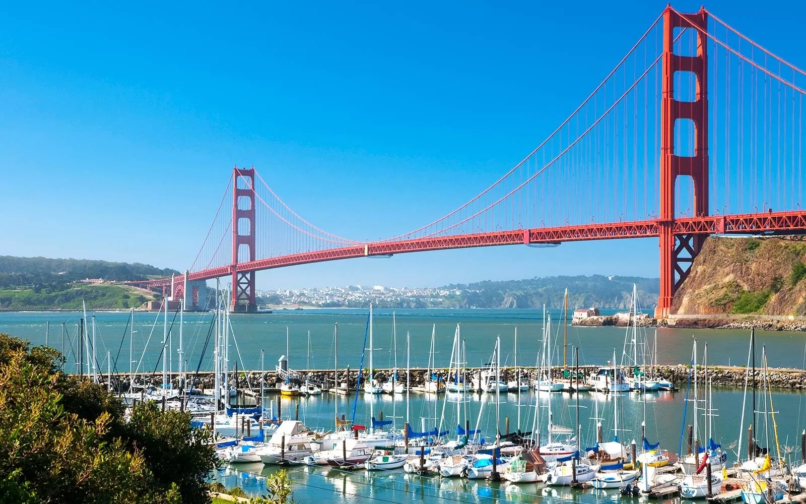 Gửi hàng đi San Francisco (Mỹ) giá rẻ, nhanh 3-5 ngày, uy tín