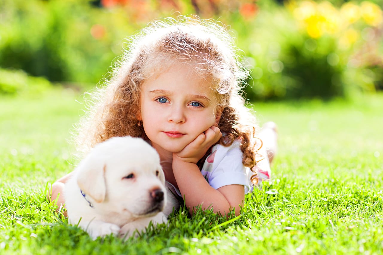 Dogs_Little_girls_Glance_Face_Retriever_Puppy_525752_1280x853