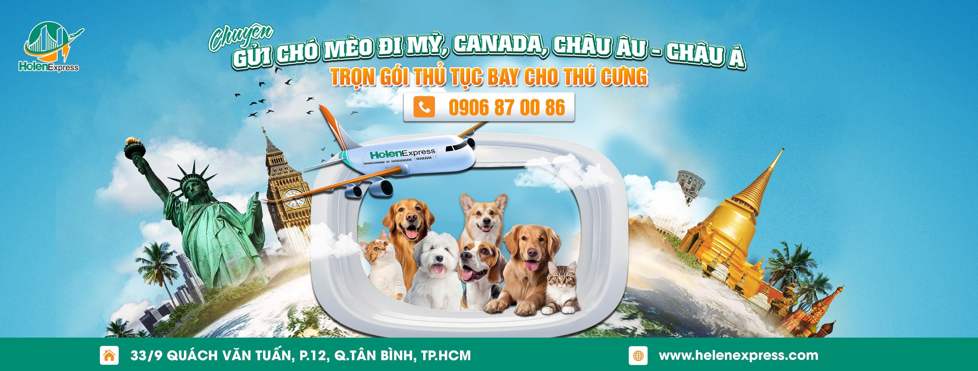 dich-vu-gui-thu-cung-cho-meo-di-my-helen-express