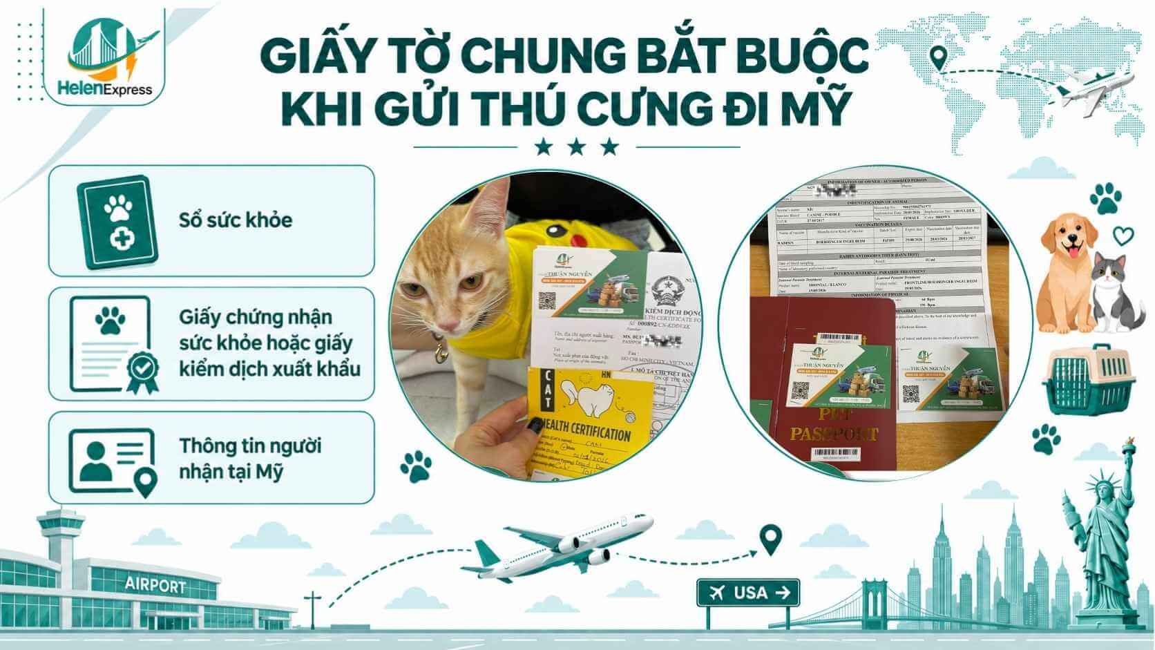 giay-to-gui-thu-cung-cho-meo-di-my-helen-express