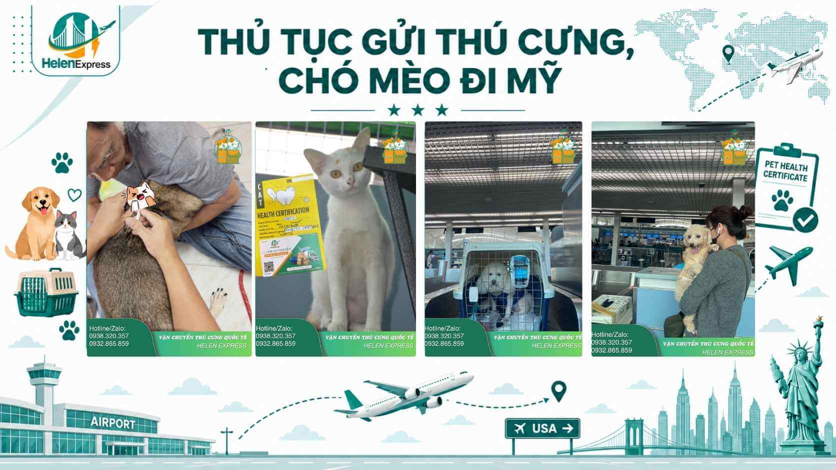 thu-tuc-gui-thu-cung-cho-meo-di-my-helen-express