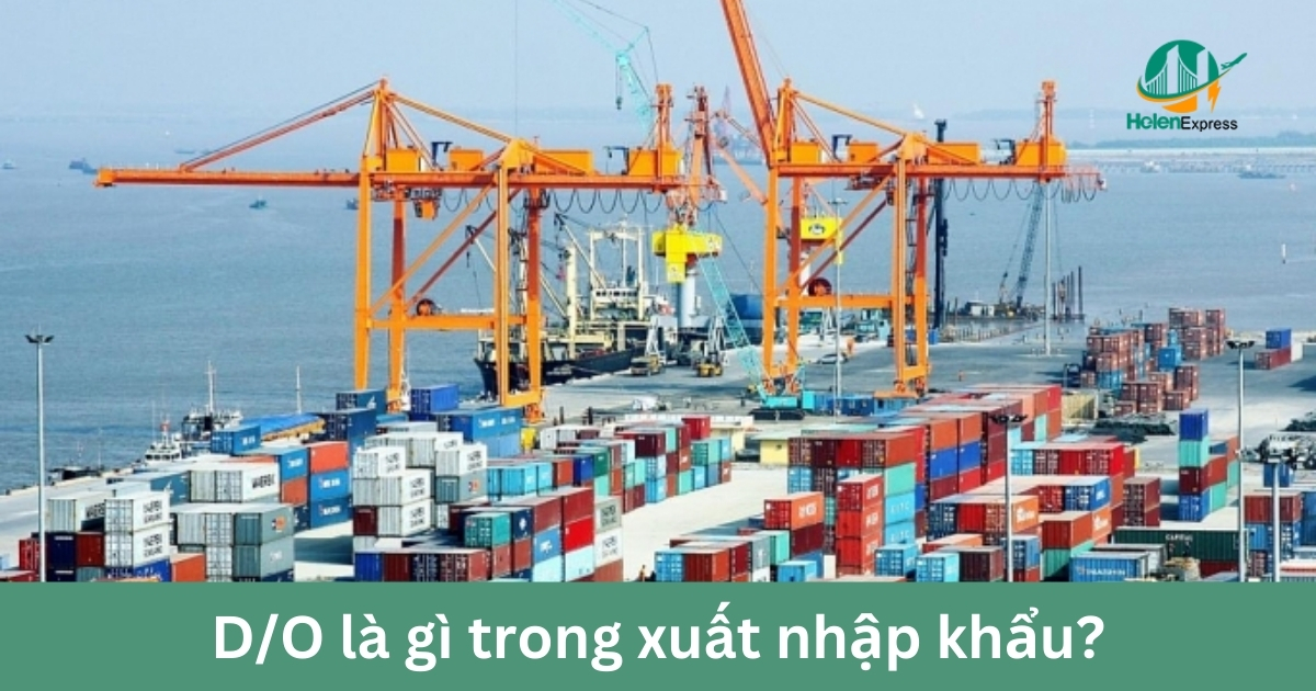 D/O là gì? Phân loại Delivery Order trong xuất nhập khẩu