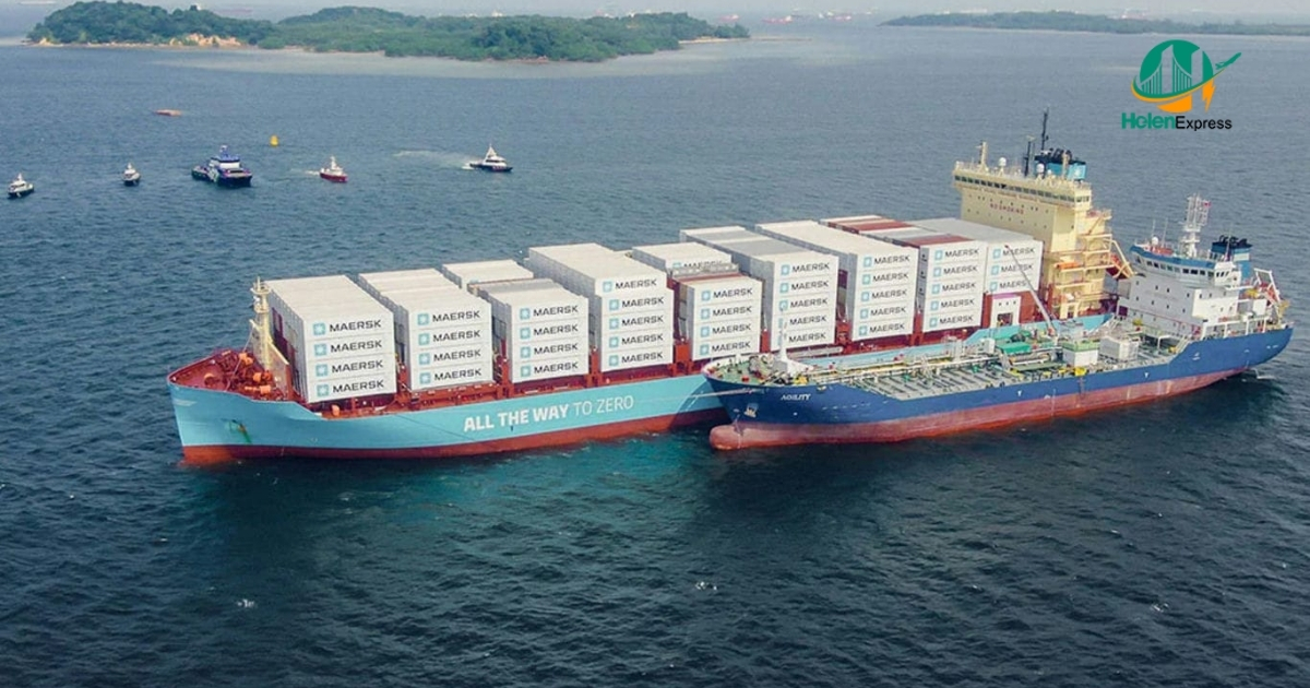 Cơ sở & điều kiện để Feeder vessel ph&aacute;t triển