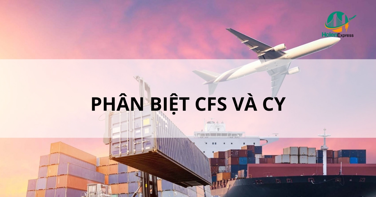 Phân biệt CFS và CY