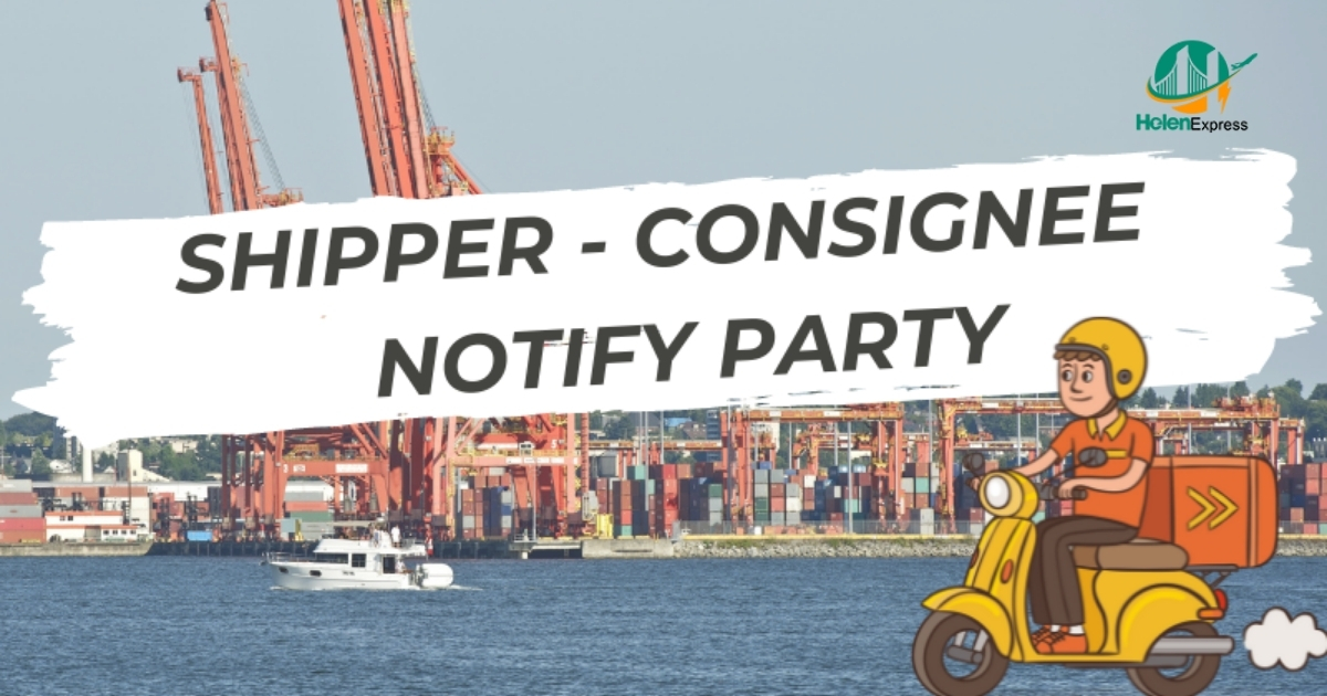 Consignee và Notify party - mối liên hệ cụ thể