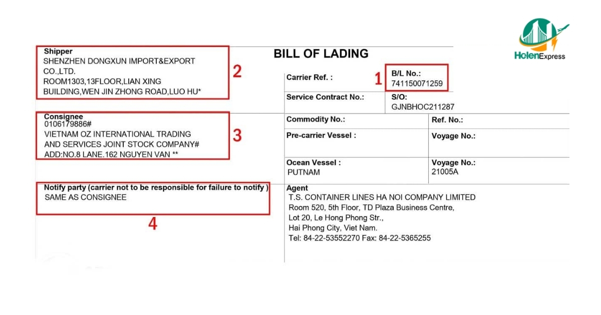 Consignee thể hiện ở đâu?