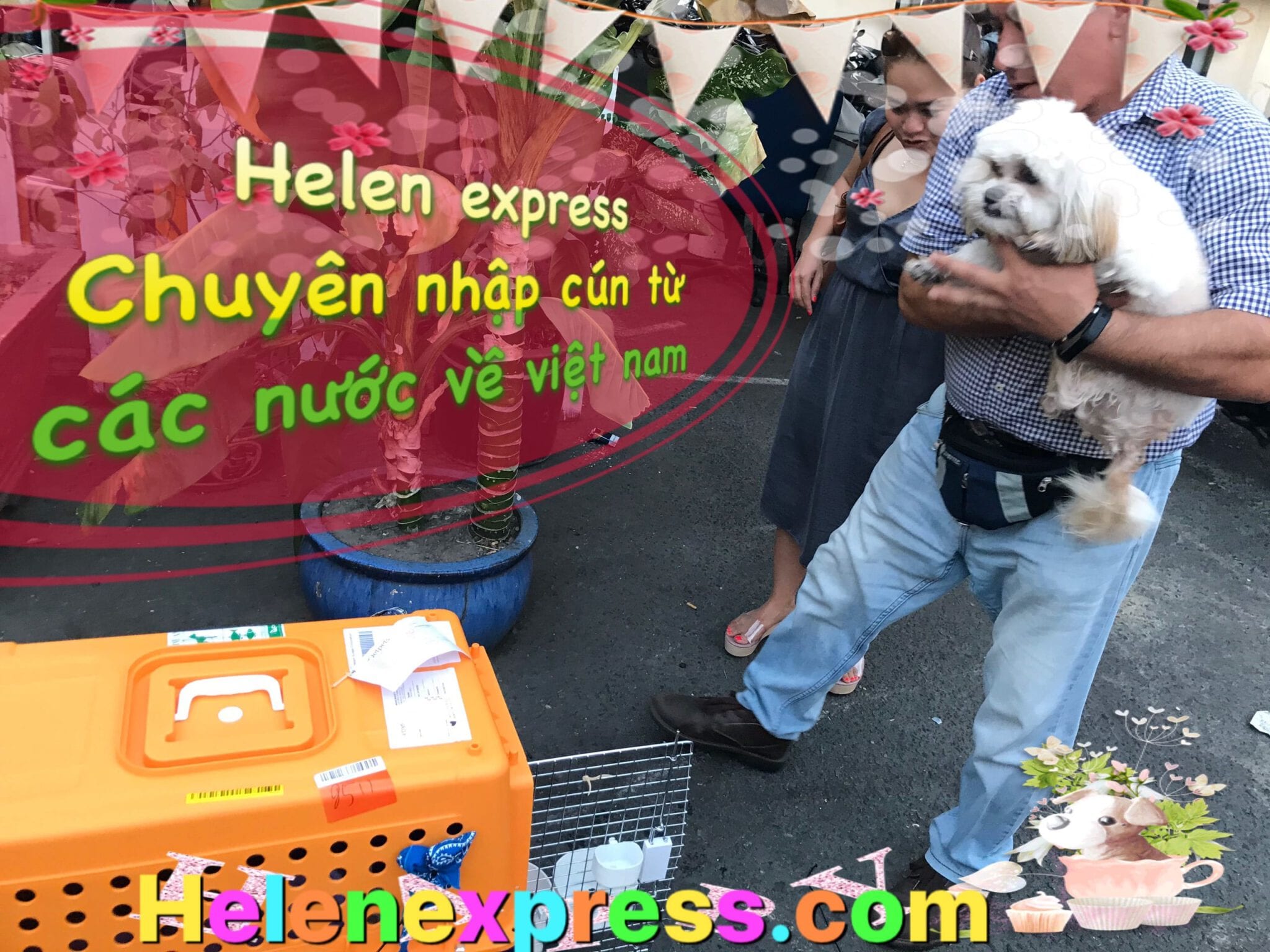 Nhập khẩu chó mèo từ nước ngoài về Việt Nam 2020 – Cách mang chó mèo về Việt nam